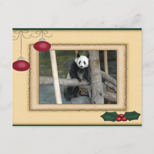 Giant Panda Bear  Baby Panda Christmas Card