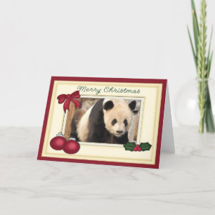Giant Panda Bear & Baby Panda Christmas Card