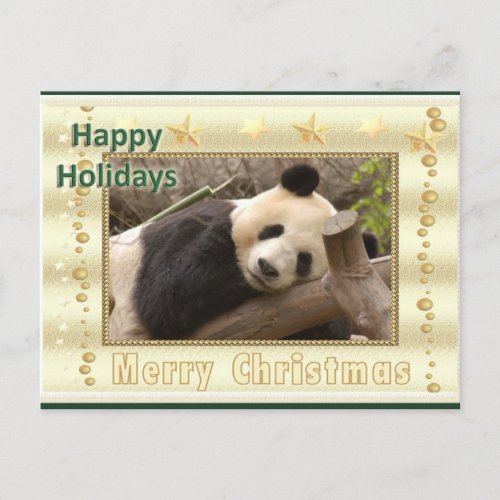 Giant Panda Bear  Baby Panda Christmas Card