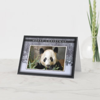Giant Panda Bear Christmas Greeting Card