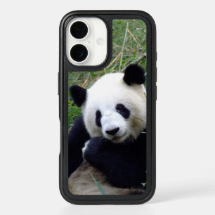 Giant Panda Bear (eating bamboo) iPhone 16 Case