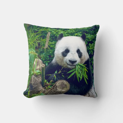 Giant Panda Bear_eating_bamboo Throw Pillow