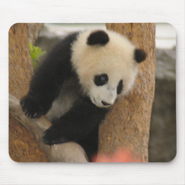 Giant Panda Bear Mousepad (Front)