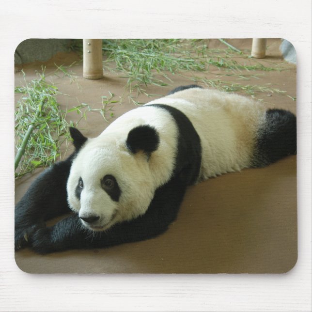 Giant Panda Bear Mousepad (Front)