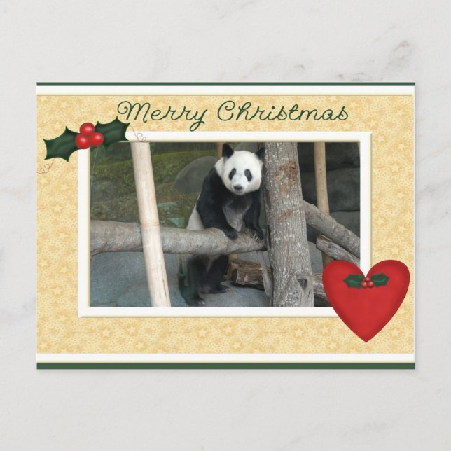Giant Panda Bear or Baby Panda Christmas Postcard (Front)