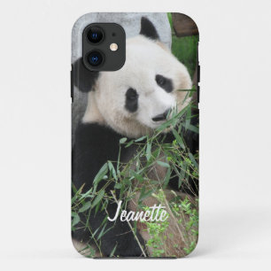 Giant Panda Bear, Personalized Name,  iPhone 11 Case