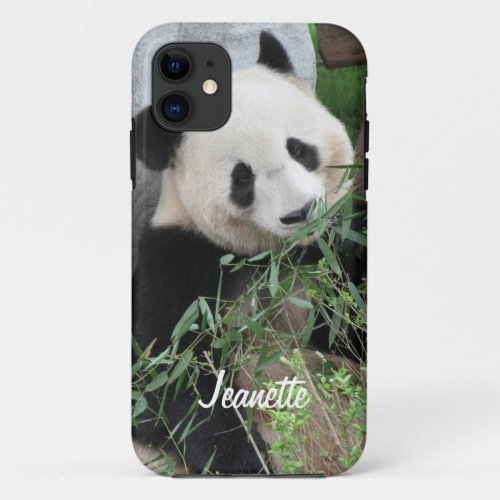 Giant Panda Bear Personalized Name  iPhone 11 Case