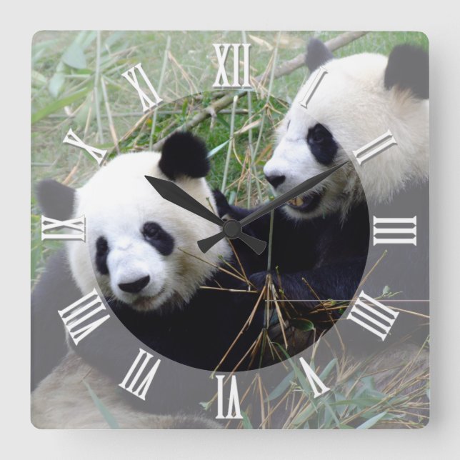 Giant Panda Bears do Love playing / family Pandas Square Wall Clock (Front)