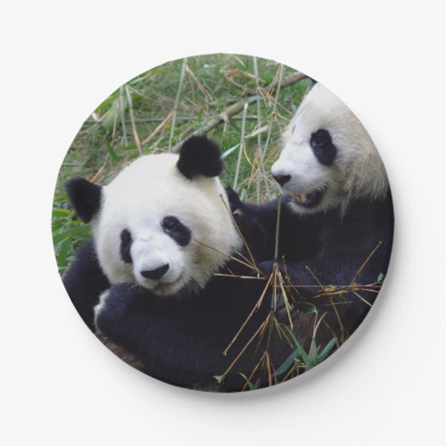 Giant Panda Bears Eating Bamboo kids party Paper Plates