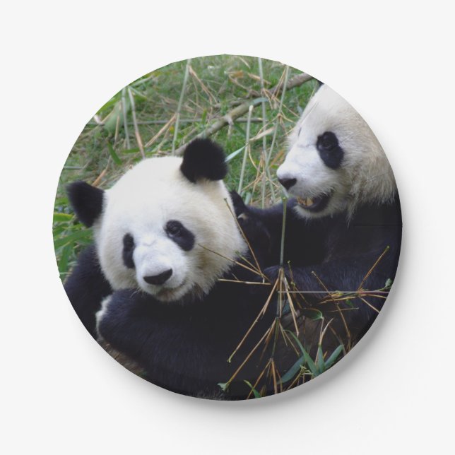 Giant Panda Bears Eating Bamboo (kids party) Paper Plates (Front)