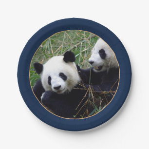 Giant Panda Bears Eating Bamboo (Party) Paper Plat Plates