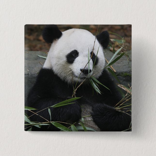 Giant panda button (Front)