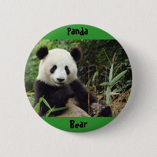 giant-panda-china-big(1), Panda , Bear Button