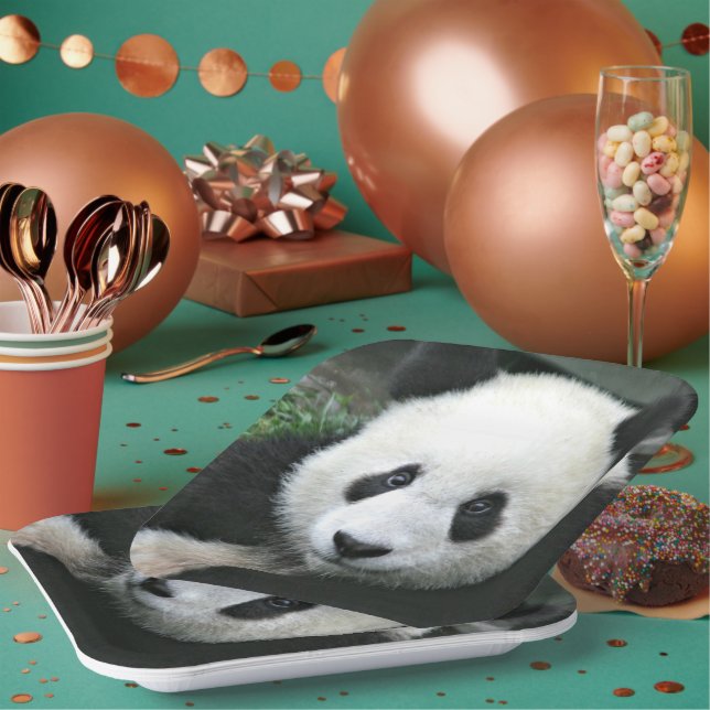 Giant Panda Close‑Up in Green Grass Paper Plates (Multi)