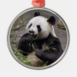 Giant panda eating bamboo metal ornament