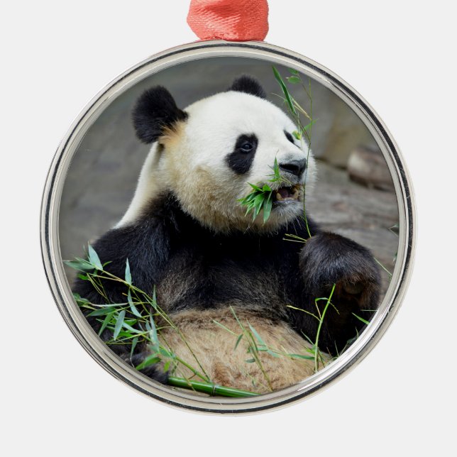 Giant panda eating bamboo metal ornament (Front)