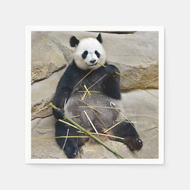 Giant panda eating bamboo   napkins (Front)