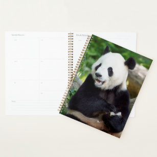 Giant Panda Eating Bamboo Planner