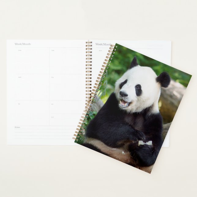 Giant Panda Eating Bamboo Planner (Display)