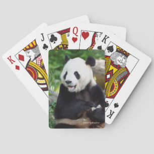 Giant Panda Eating Bamboo Poker Cards