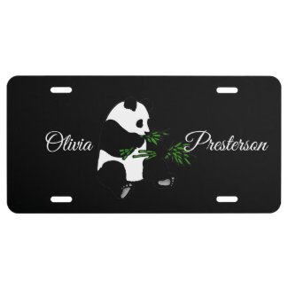 Giant Panda Eats Bamboo Black