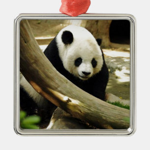 Giant Panda Gao Gao at the San Diego Zoo Metal Ornament