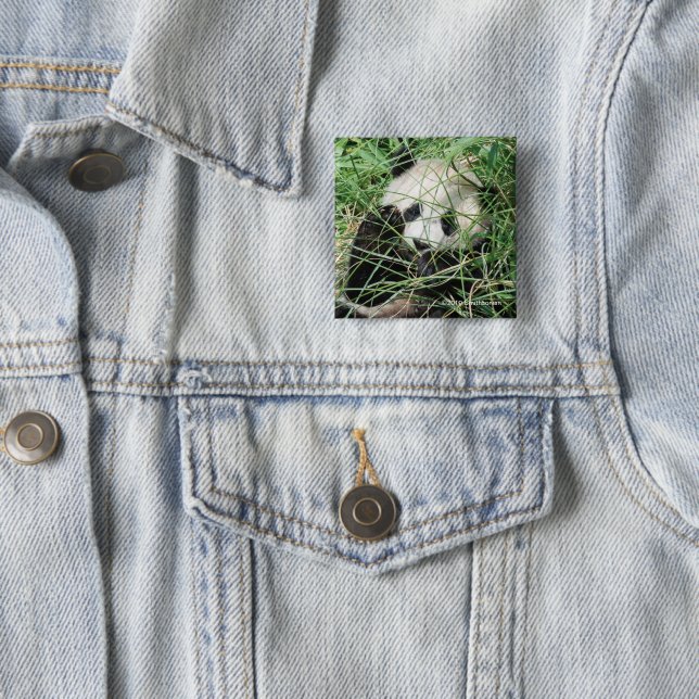 Giant Panda Hiding In Grass Button (In Situ)
