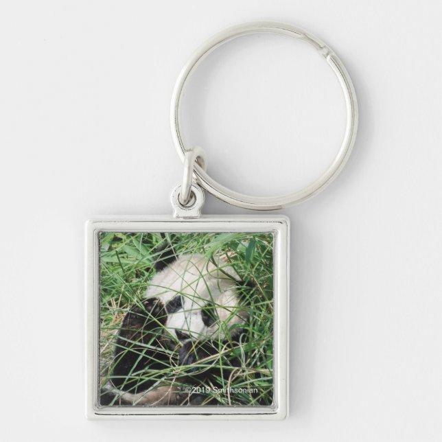 Giant Panda Hiding In Grass Keychain (Front)
