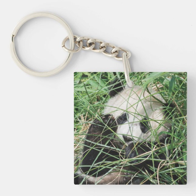 Giant Panda Hiding In Grass Keychain (Front)