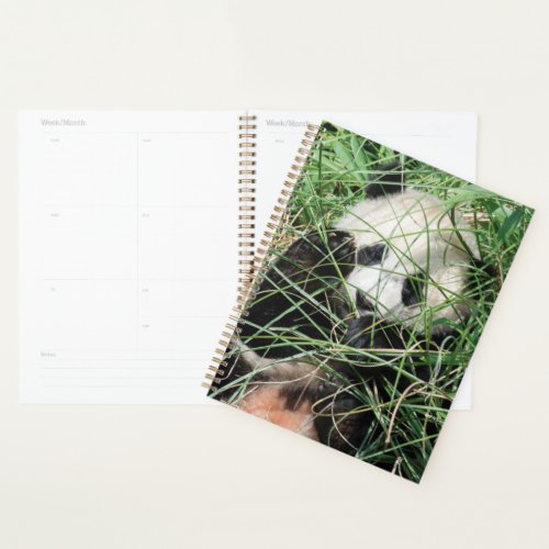 Giant Panda Hiding In Grass Planner