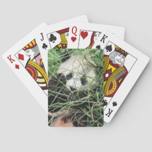 Giant Panda Hiding In Grass Poker Cards