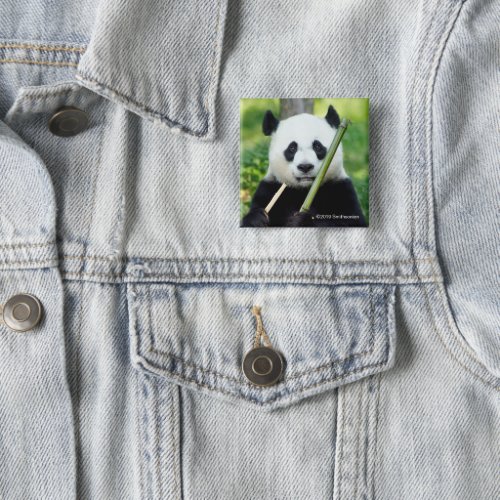 Giant Panda Holding Bamboo Button