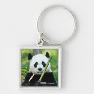Giant Panda Holding Bamboo Keychain