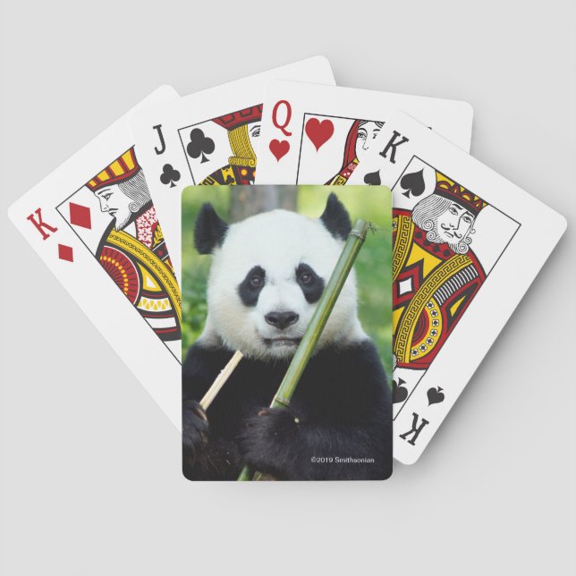 Giant Panda Holding Bamboo Poker Cards (Back)