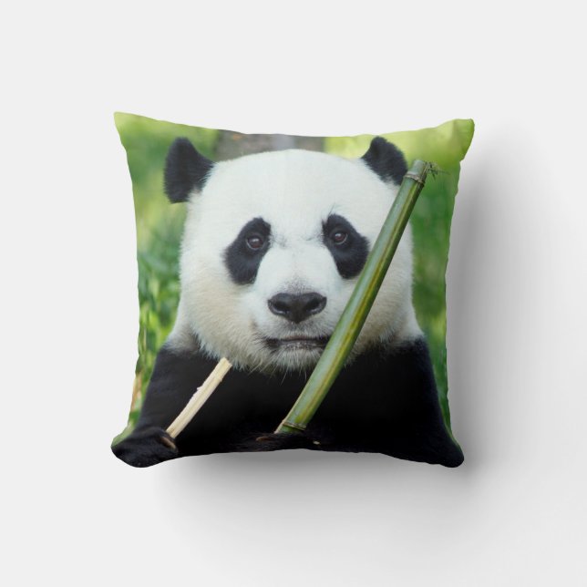 Giant Panda Holding Bamboo Throw Pillow (Front)