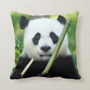 Giant Panda Holding Bamboo Throw Pillow