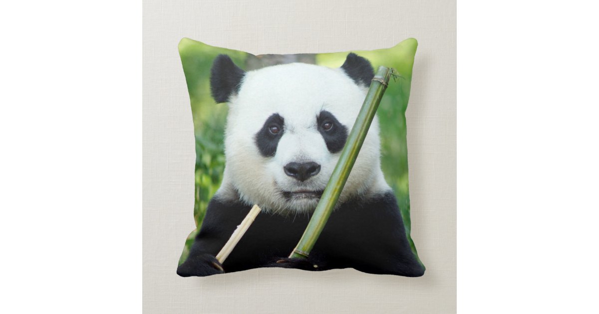 Giant Panda Holding Bamboo Throw Pillow