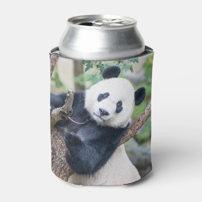 Giant Panda in a Tree Can Cooler (Can Front)