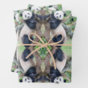 Giant Panda in a Tree Wrapping Paper Sheets