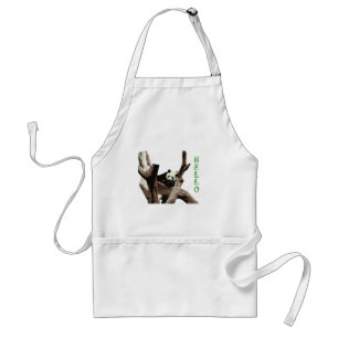 Giant panda in a wild animal zoo photography. adult apron