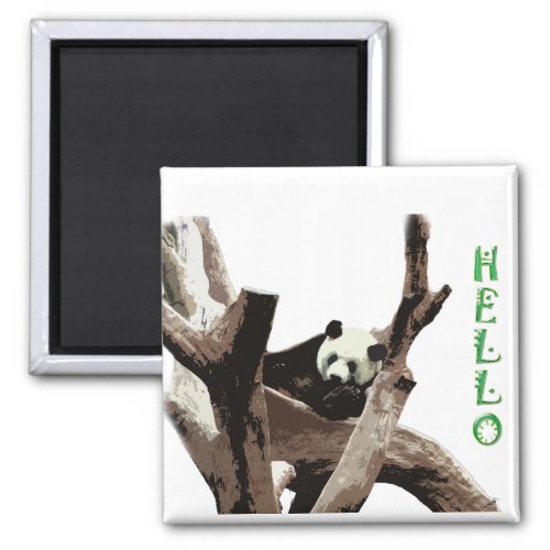 Giant panda in a wild animal zoo photography magnet