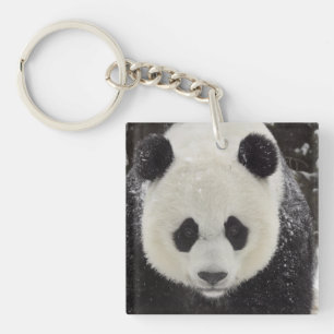 Giant Panda in Snow Keychain