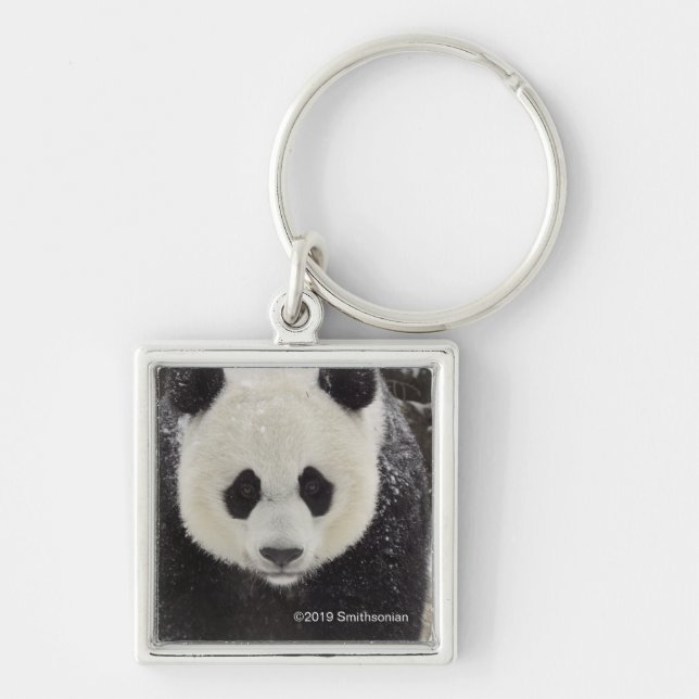 Giant Panda in Snow Keychain (Front)