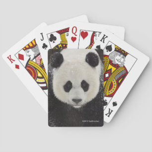 Giant Panda in Snow Poker Cards
