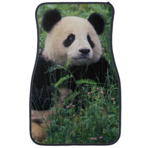 Giant panda in the grass, Wolong Valley, Sichuan Car Mat