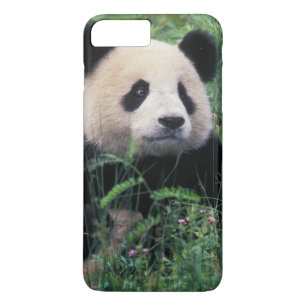 Giant panda in the grass, Wolong Valley, Sichuan iPhone 8 Plus/7 Plus Case