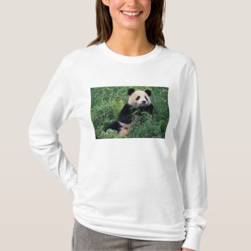 Giant panda in the grass Wolong Valley Sichuan T_Shirt