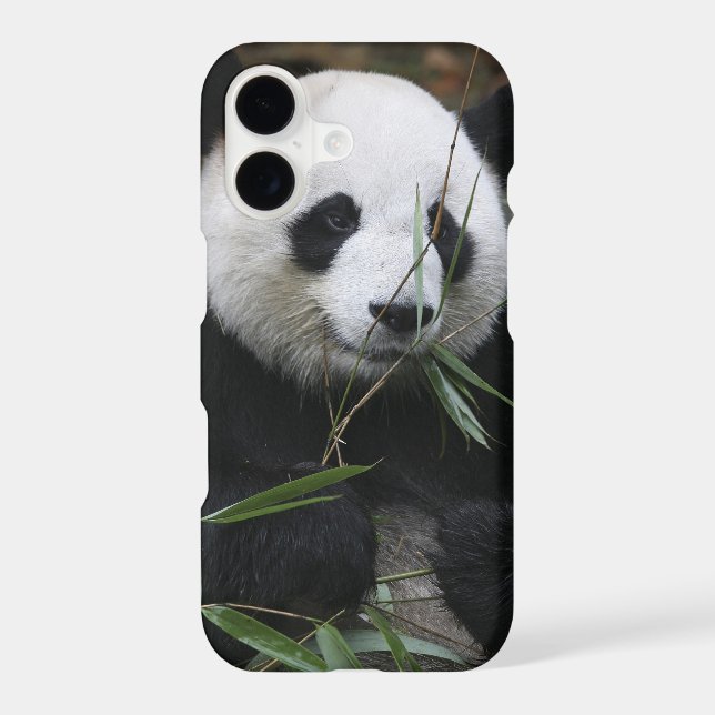 Giant panda iphone case (Back)