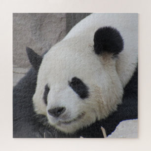 giant panda jigsaw puzzle