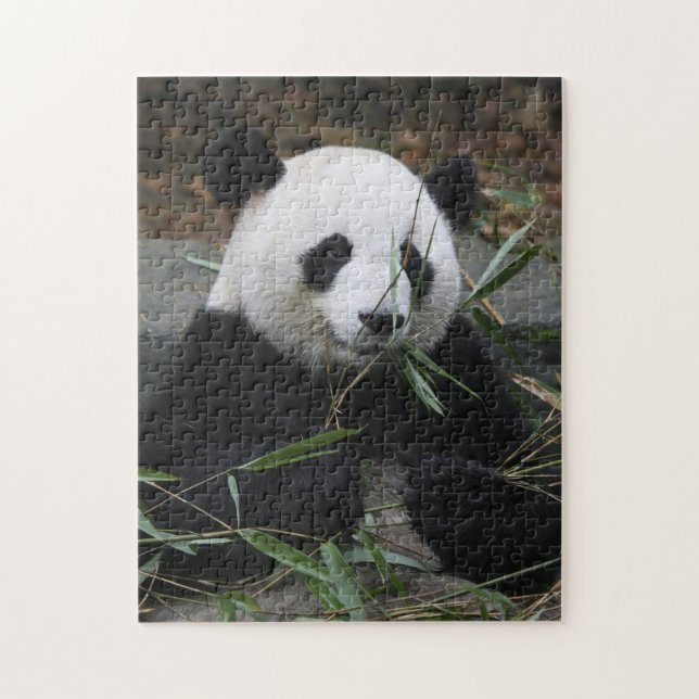 Giant panda jigsaw puzzle (Vertical)
